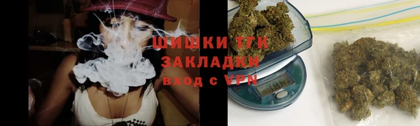 мдпв Корсаков