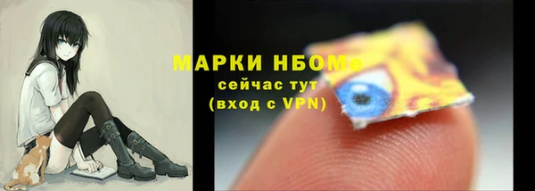 мдпв Костерёво