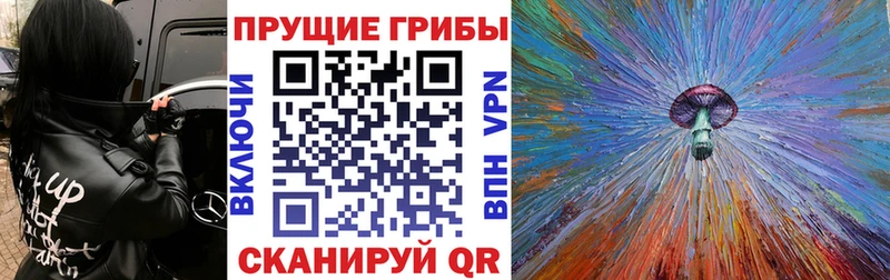Галлюциногенные грибы Cubensis  Красноармейск 
