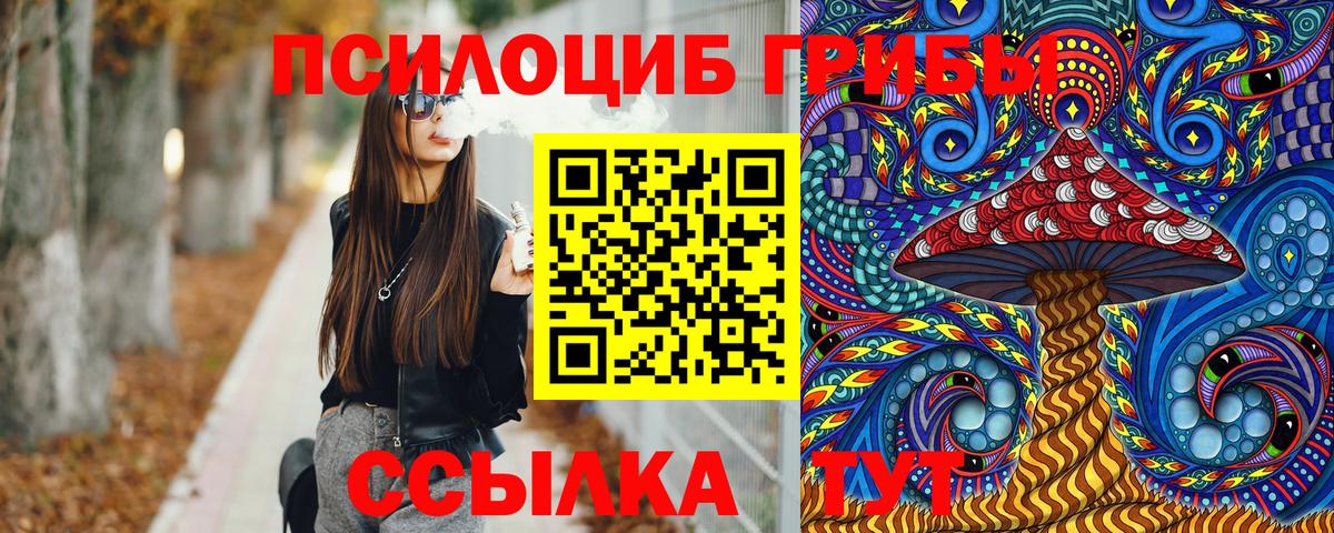 как найти закладки  Вход с VPN  Красноармейск  Галлюциногенные грибы ЛСД  Псилоцибиновые грибы прущие грибы 